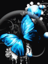 49f804af 11969855 sktmpa6qfiwdl38424 rfc050pp